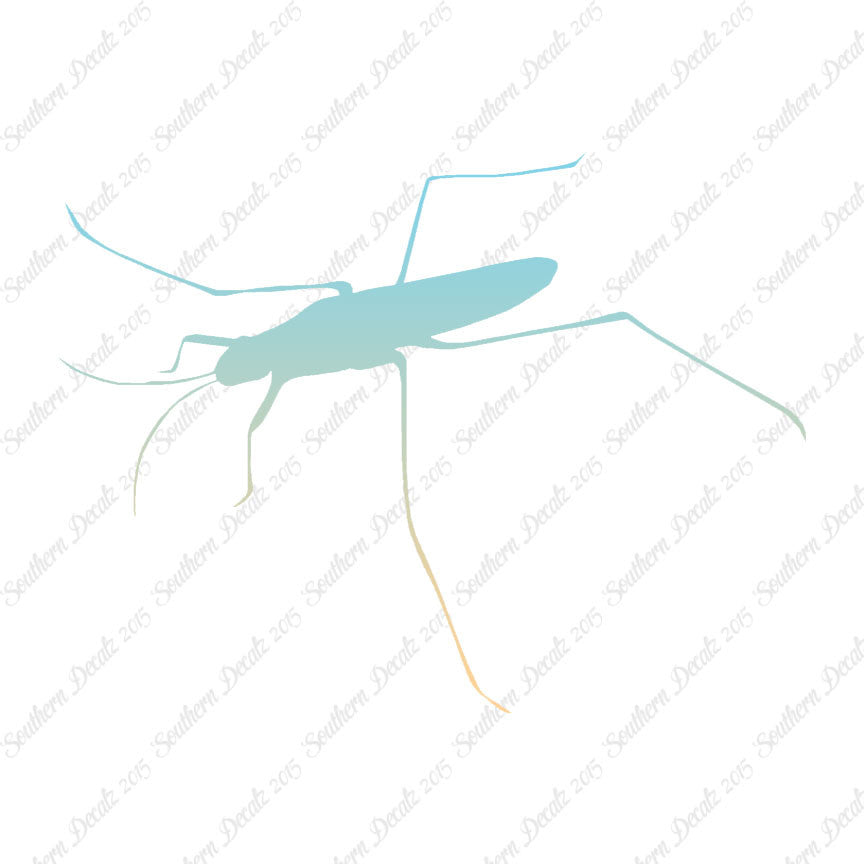 Water Skimmer Insect Bug
