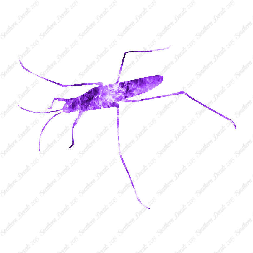 Water Skimmer Insect Bug