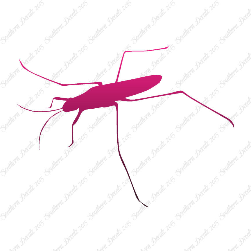 Water Skimmer Insect Bug