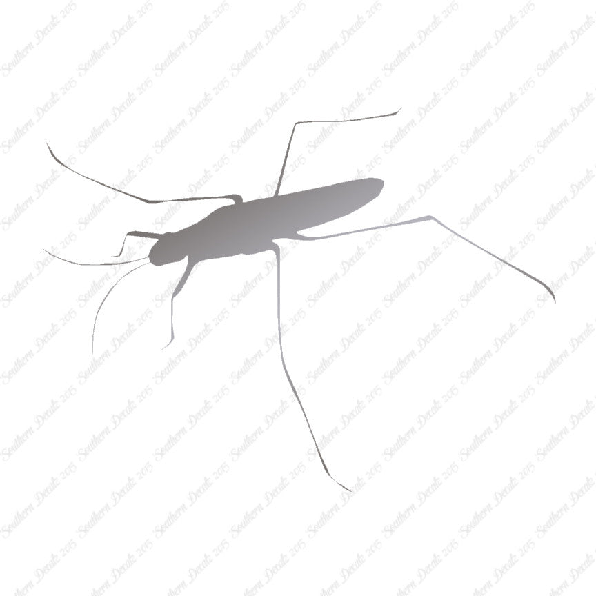 Water Skimmer Insect Bug
