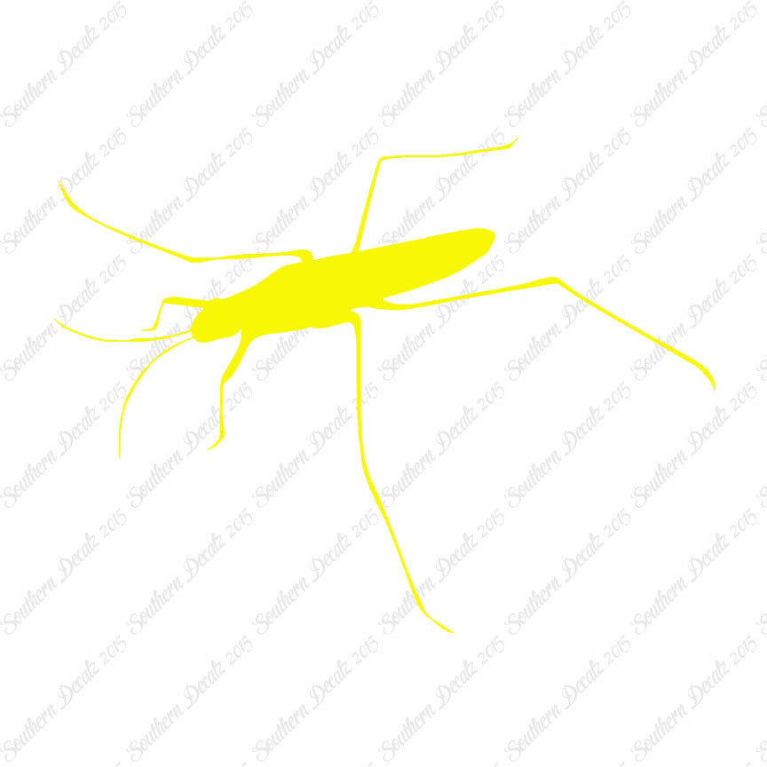 Water Skimmer Insect Bug