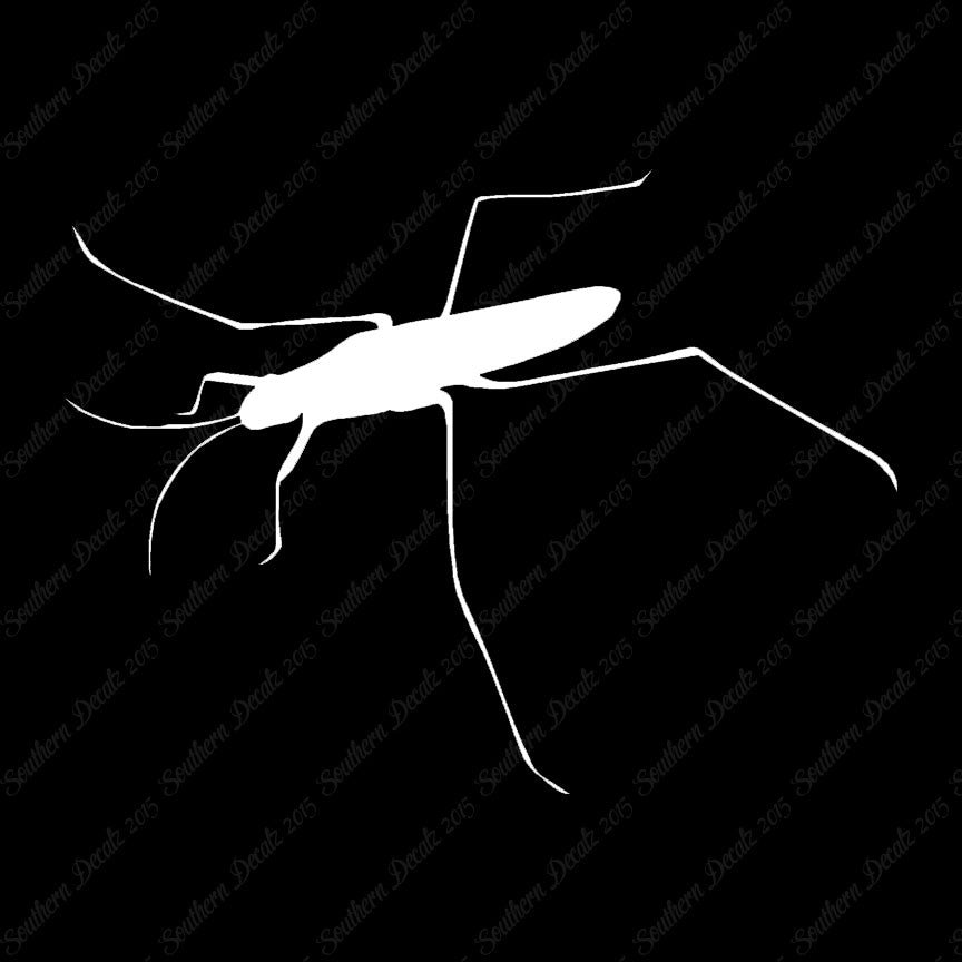 Water Skimmer Insect Bug