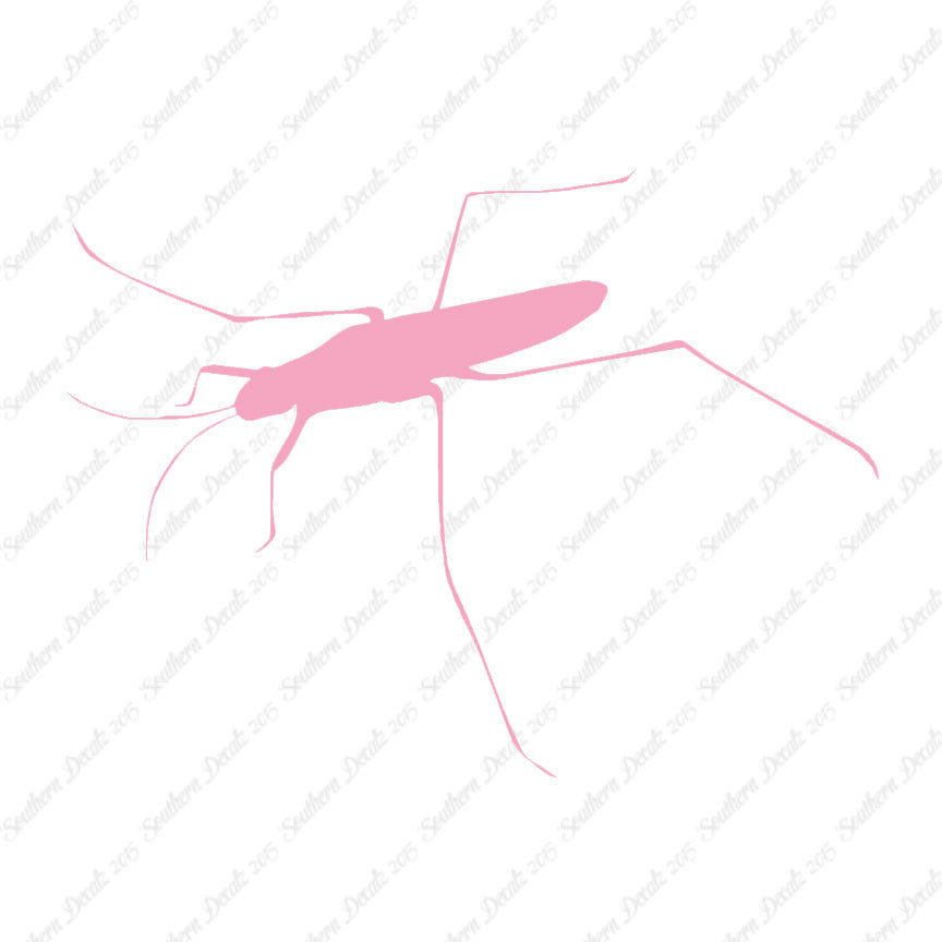 Water Skimmer Insect Bug