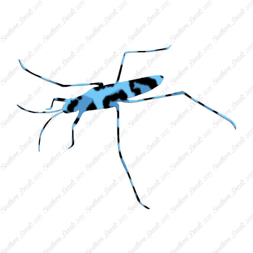Water Skimmer Insect Bug