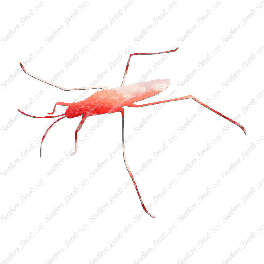 Water Skimmer Insect Bug