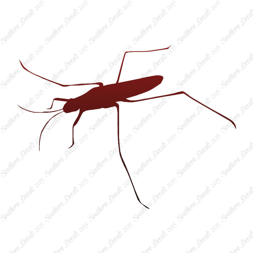Water Skimmer Insect Bug
