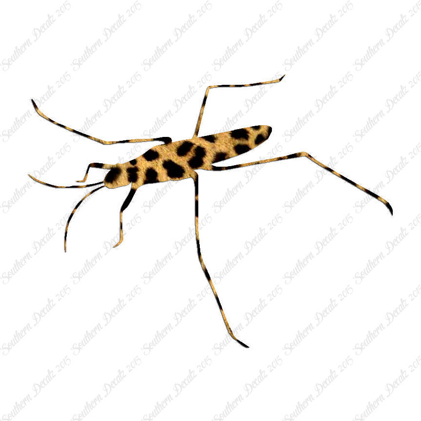 Water Skimmer Insect Bug