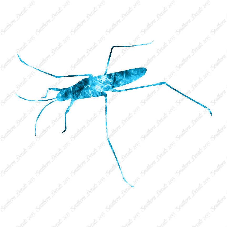 Water Skimmer Insect Bug