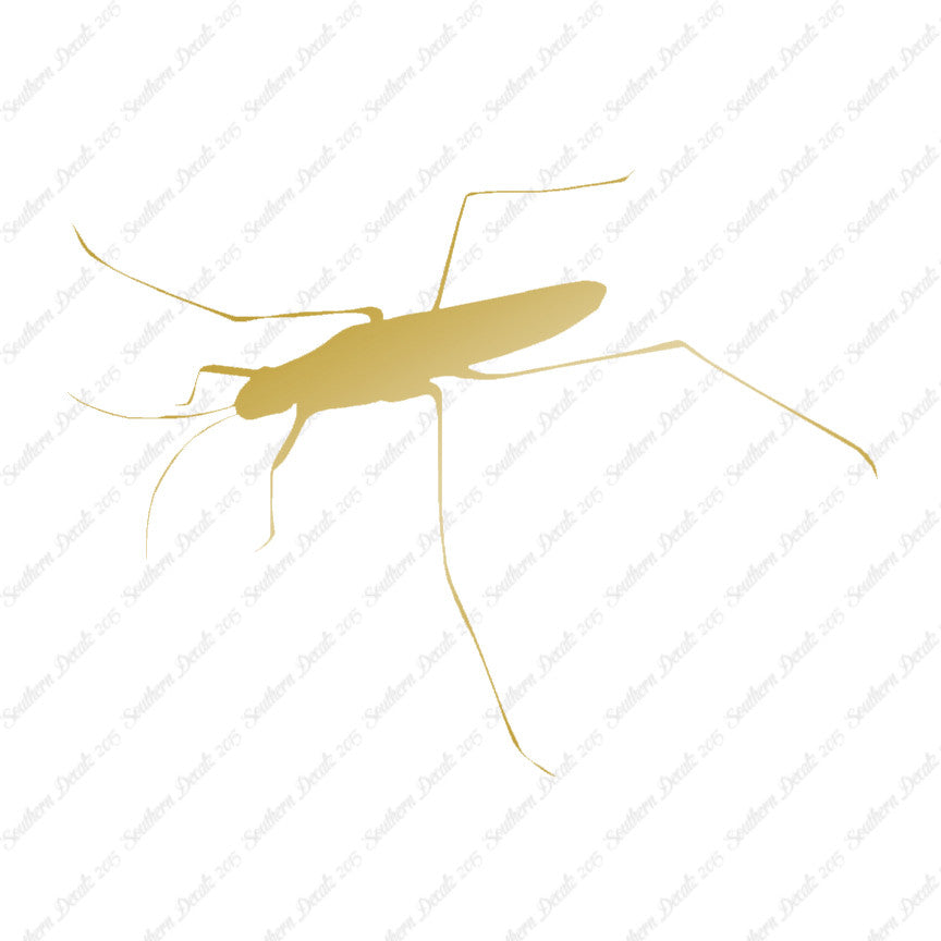 Water Skimmer Insect Bug