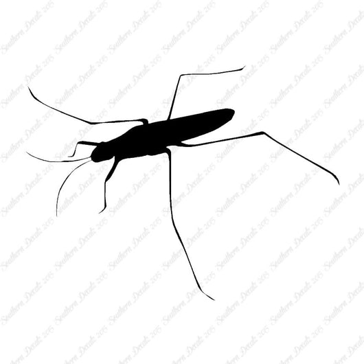 Water Skimmer Insect Bug