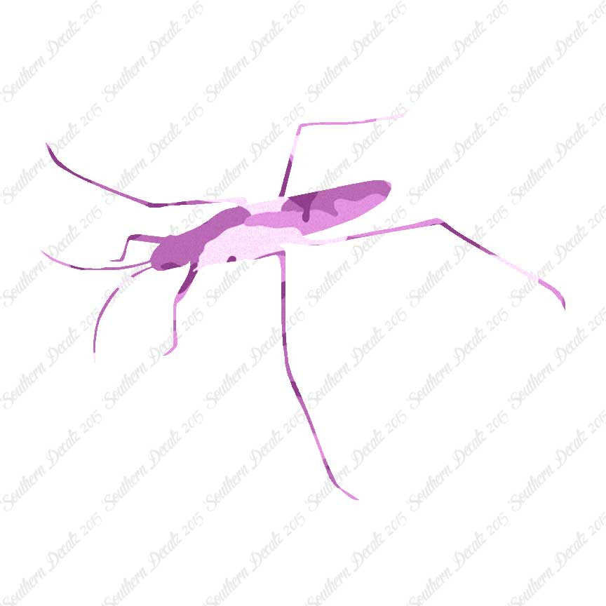Water Skimmer Insect Bug