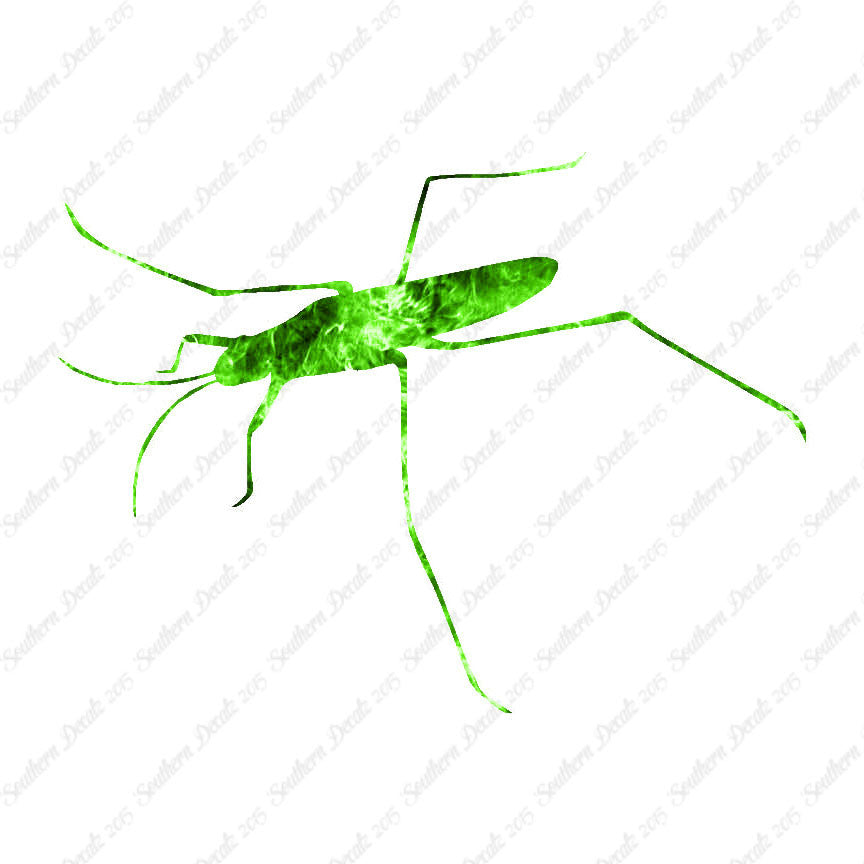 Water Skimmer Insect Bug