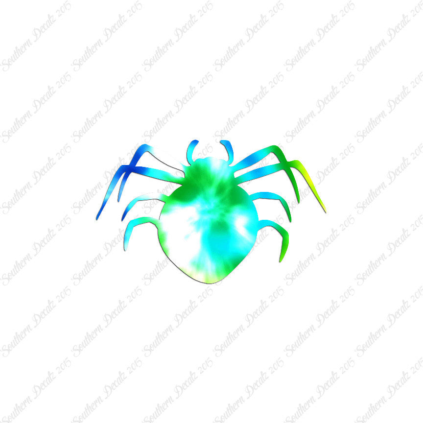 Spider Arachnid