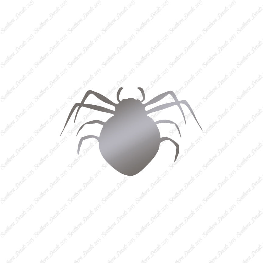 Spider Arachnid