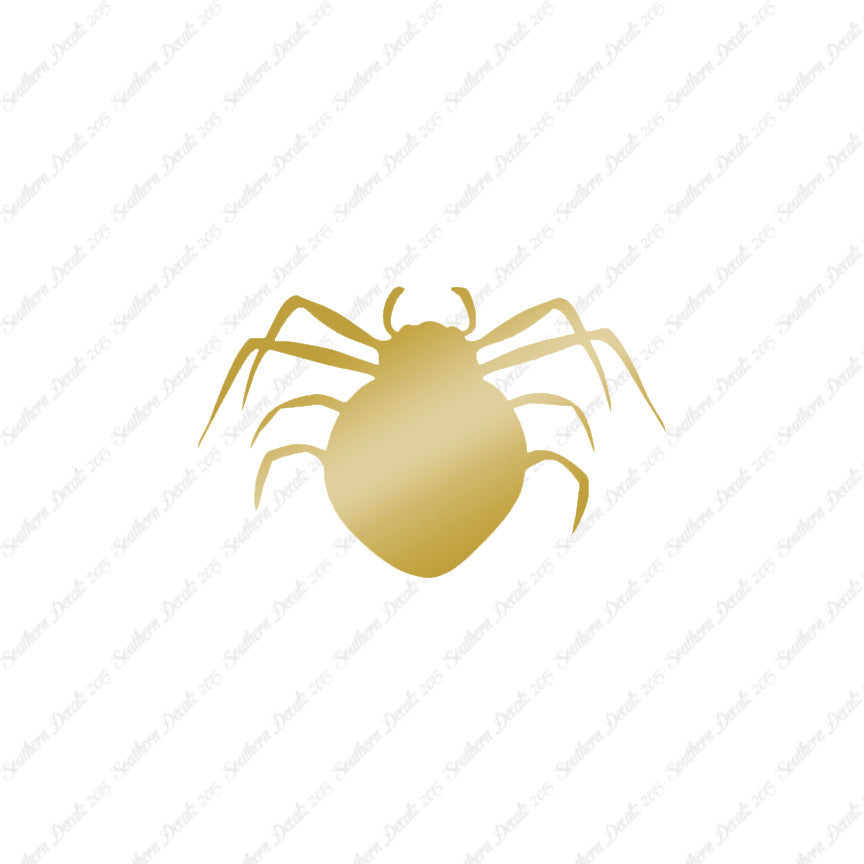 Spider Arachnid