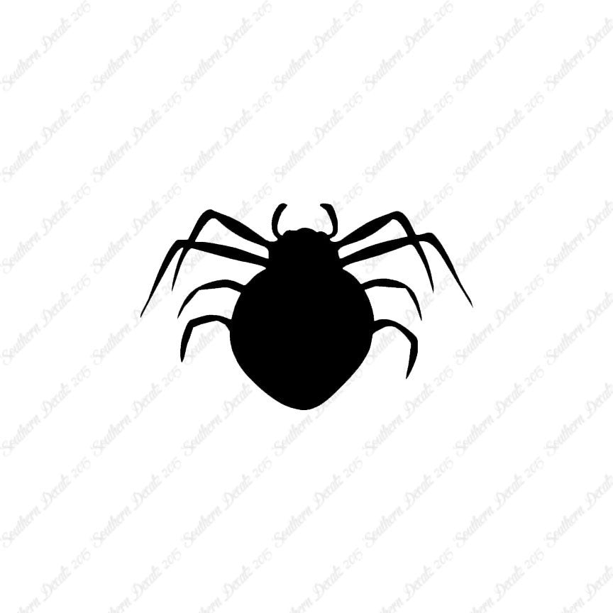 Spider Arachnid
