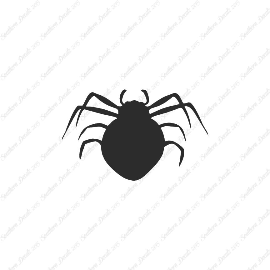Spider Arachnid