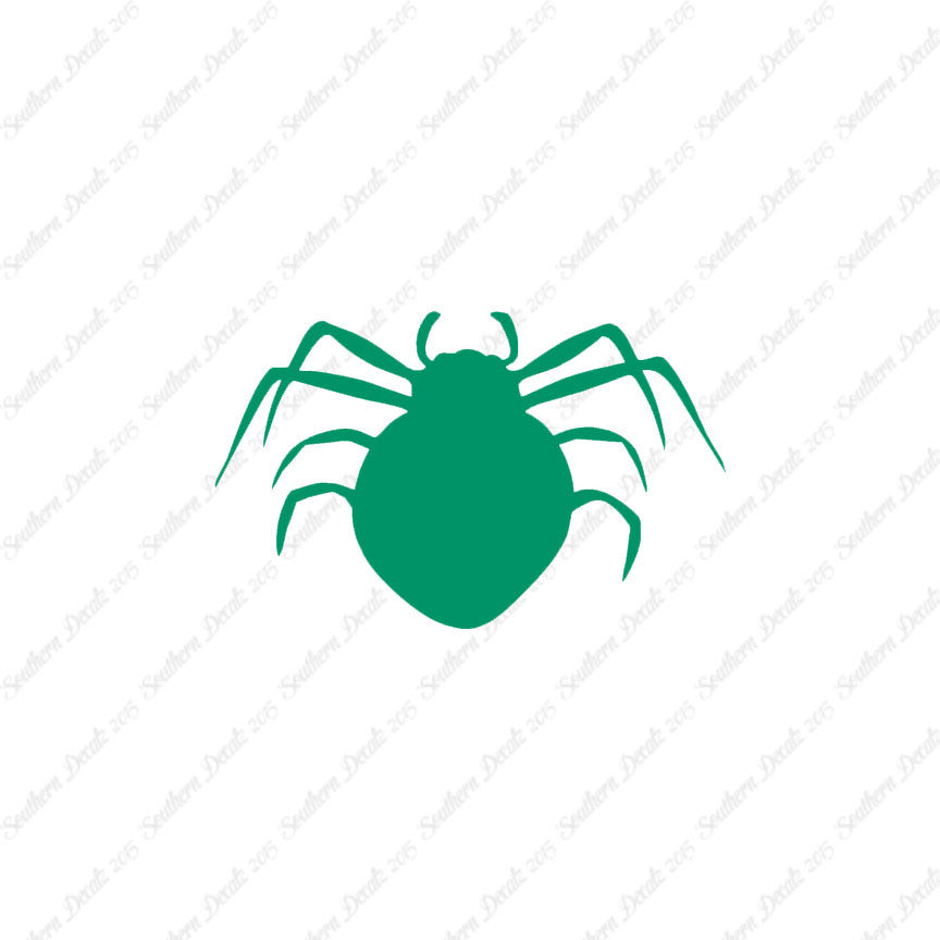 Spider Arachnid