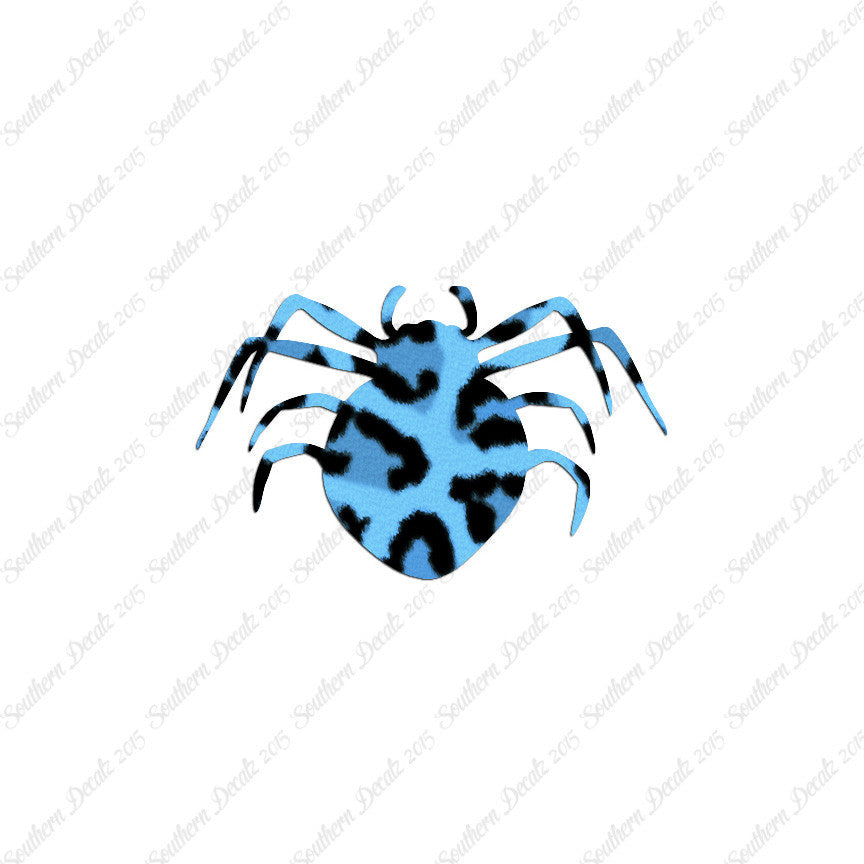 Spider Arachnid