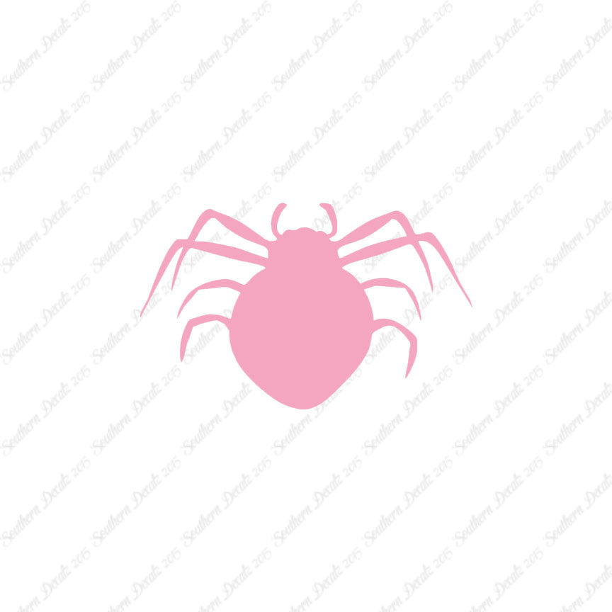 Spider Arachnid