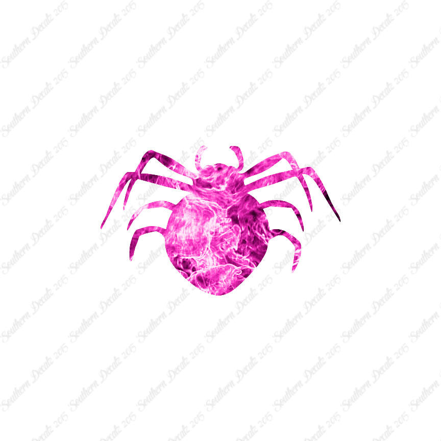 Spider Arachnid