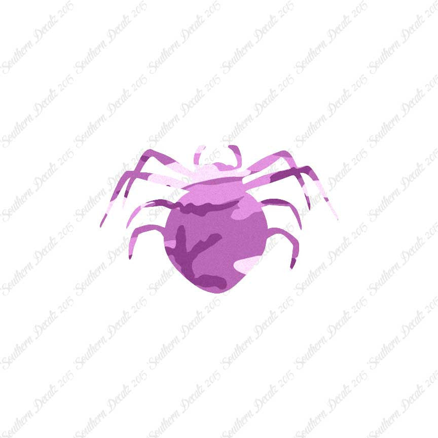 Spider Arachnid