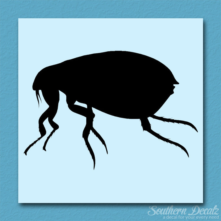 Tick Flea Insect