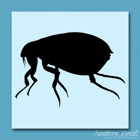 Tick Flea Insect