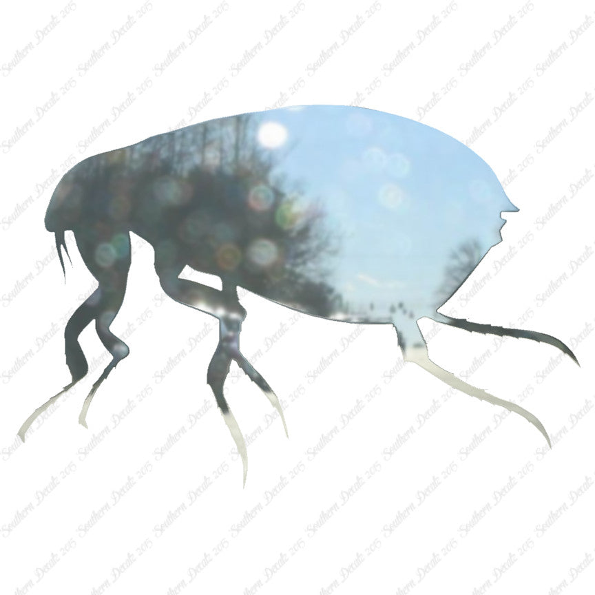 Tick Flea Insect