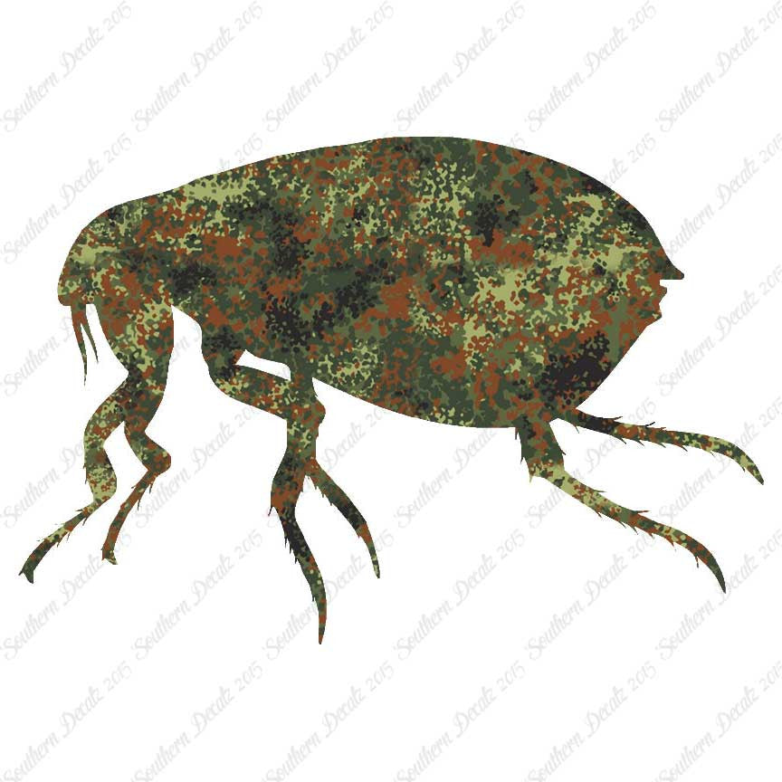 Tick Flea Insect