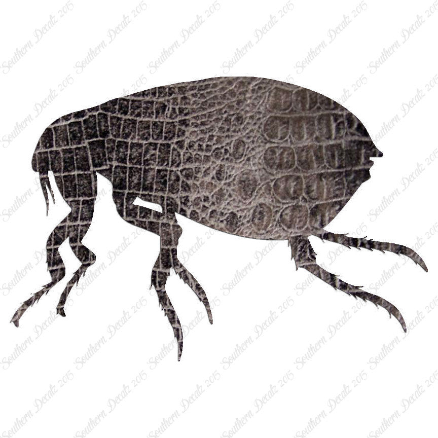 Tick Flea Insect