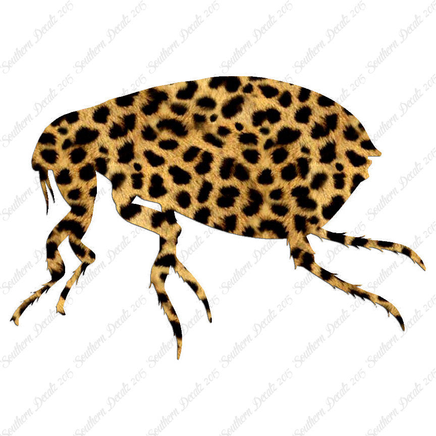 Tick Flea Insect