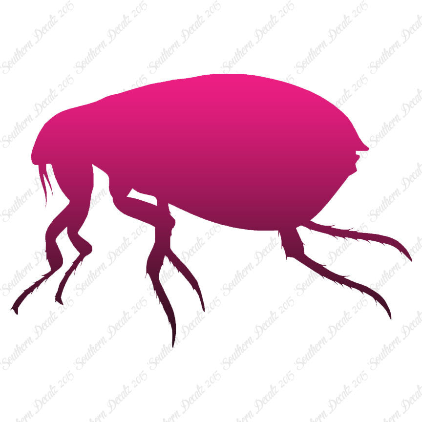 Tick Flea Insect