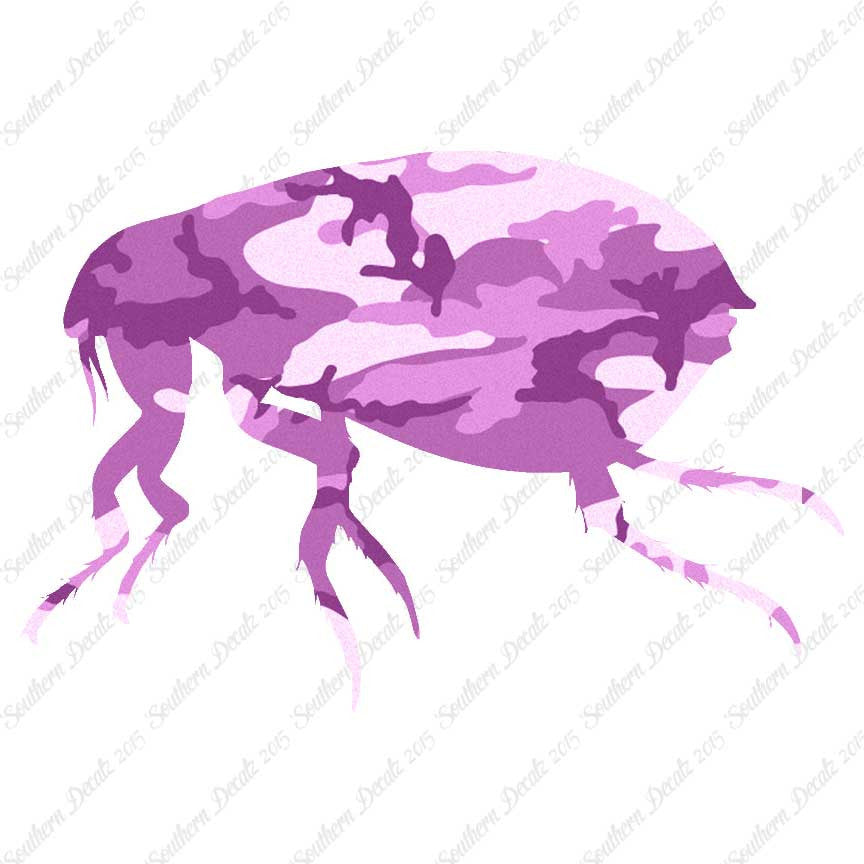 Tick Flea Insect