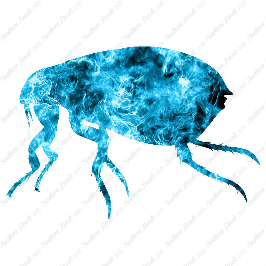 Tick Flea Insect