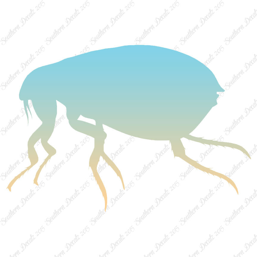Tick Flea Insect