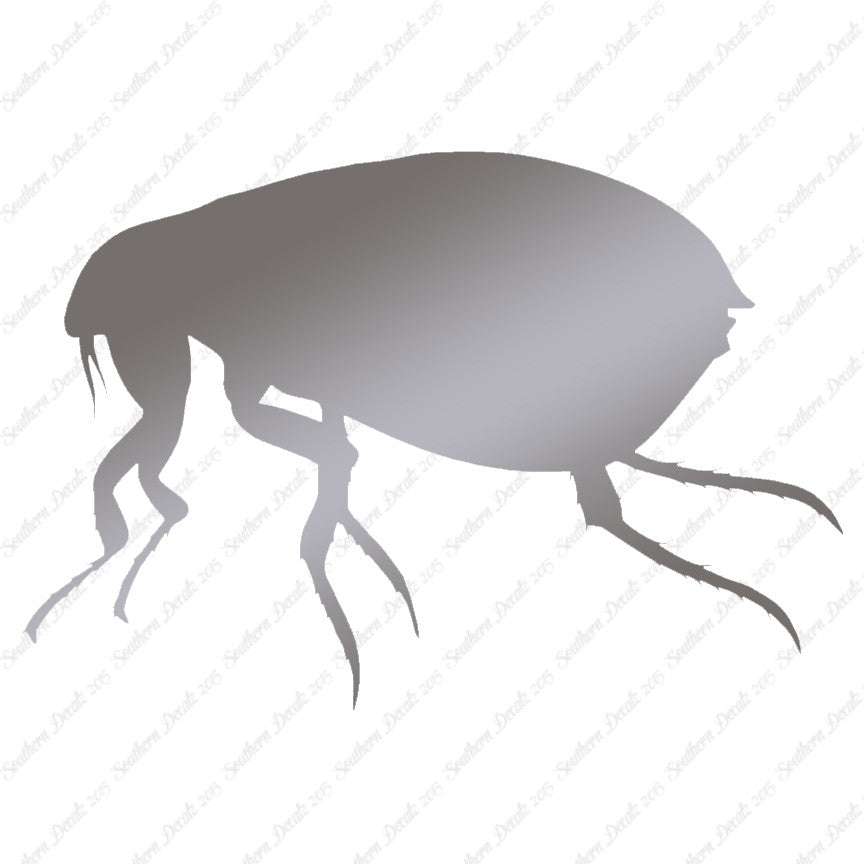 Tick Flea Insect