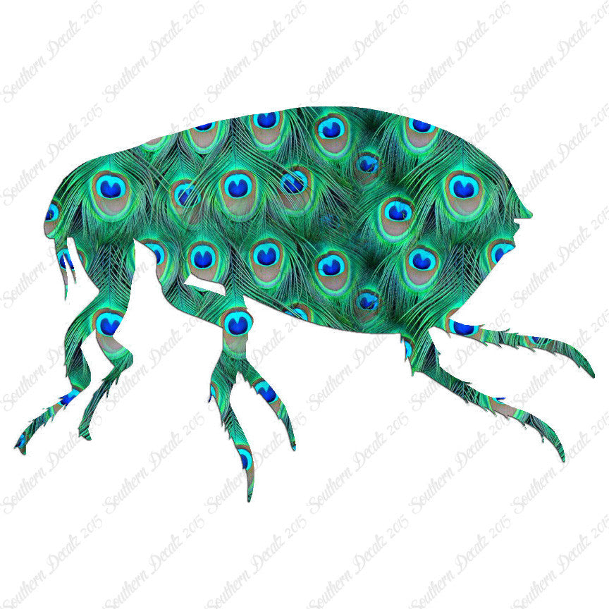 Tick Flea Insect
