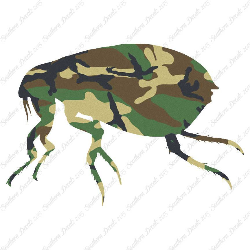 Tick Flea Insect