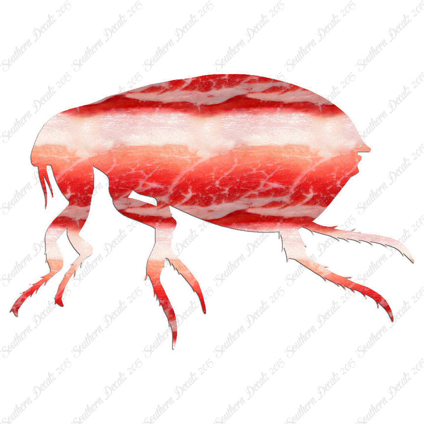 Tick Flea Insect