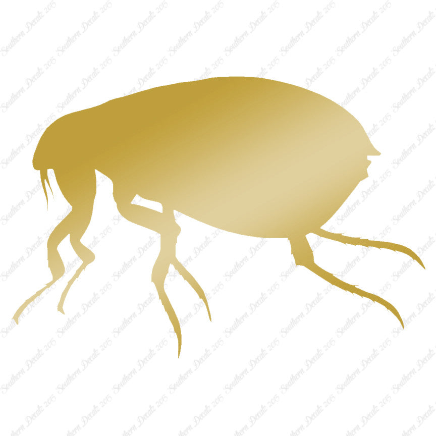 Tick Flea Insect