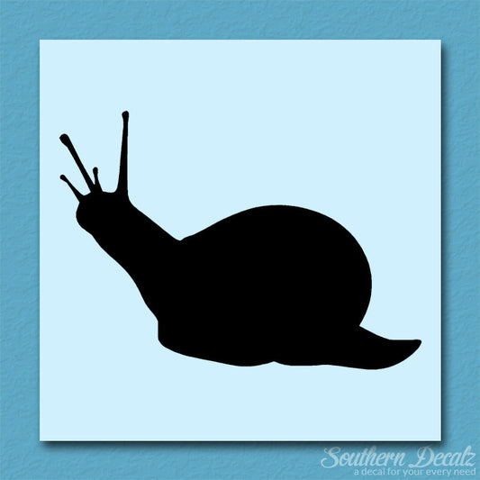 Slug Snail Insect Bug