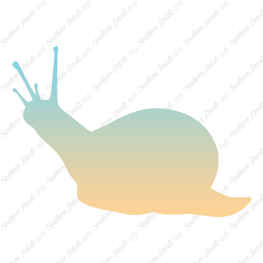 Slug Snail Insect Bug
