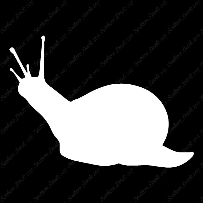 Slug Snail Insect Bug
