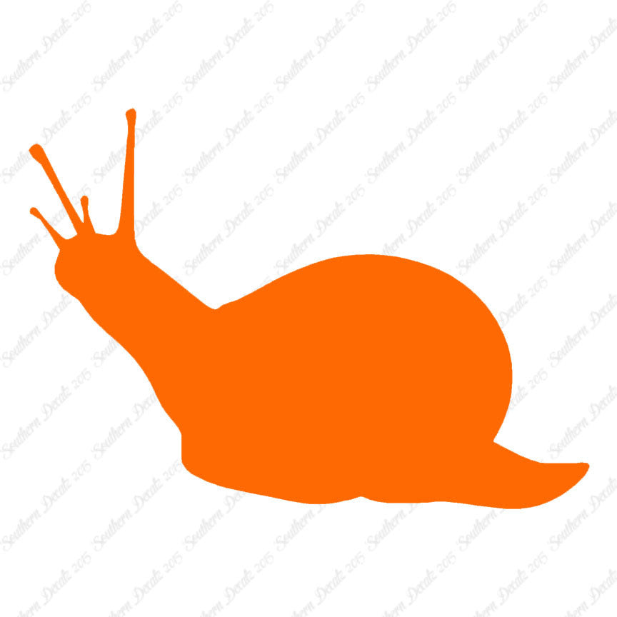 Slug Snail Insect Bug