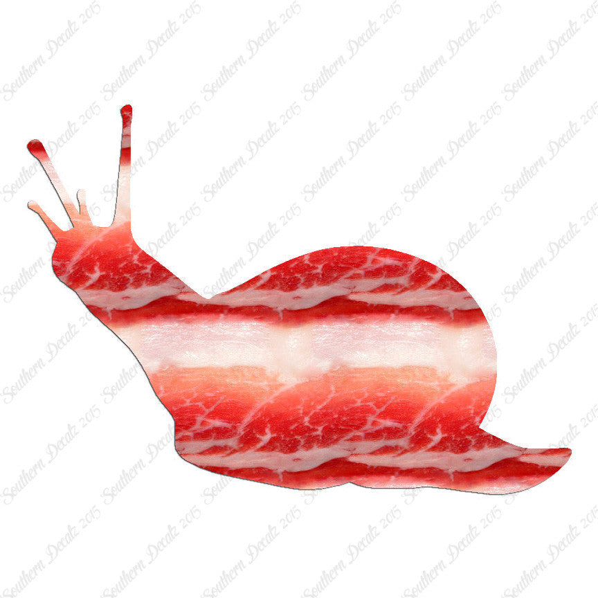 Slug Snail Insect Bug