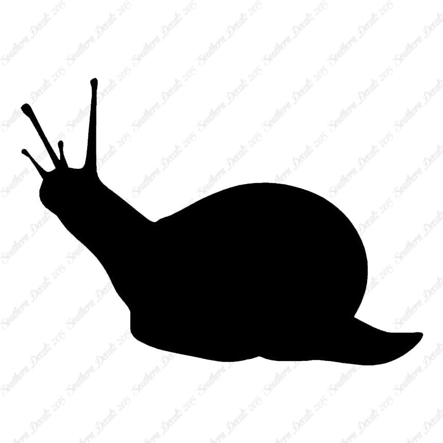 Slug Snail Insect Bug
