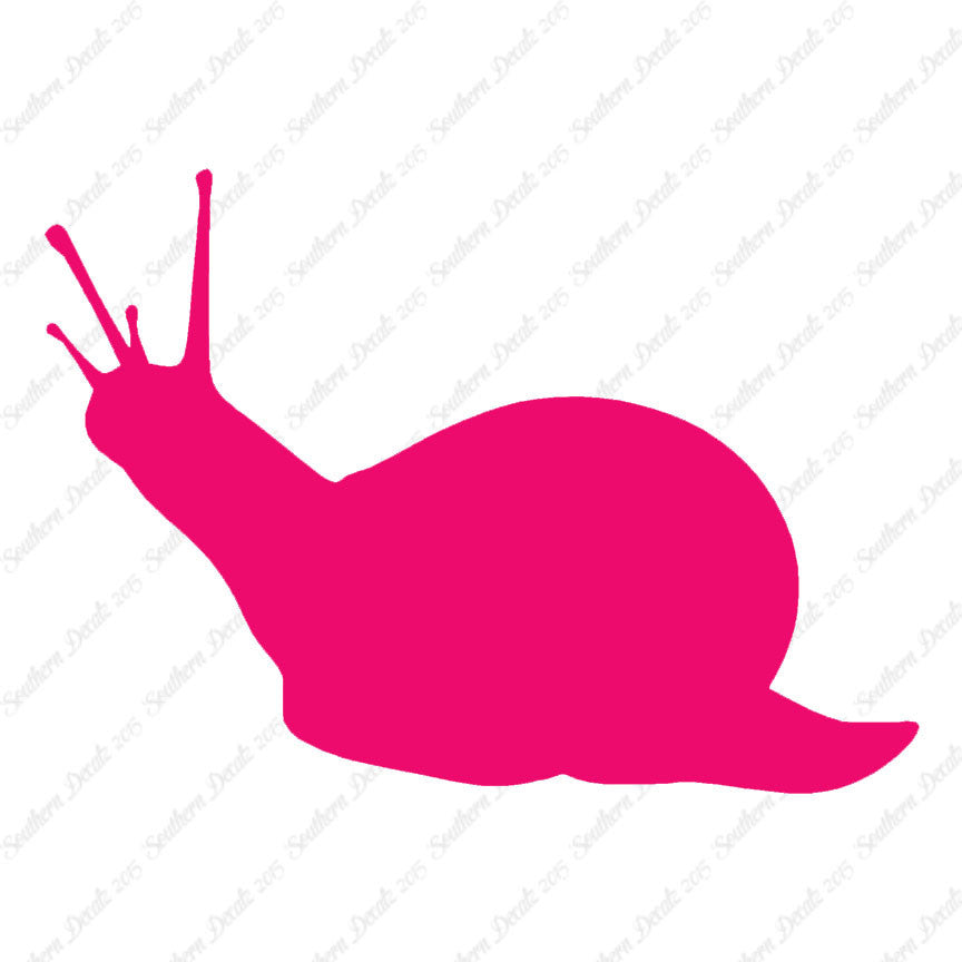 Slug Snail Insect Bug