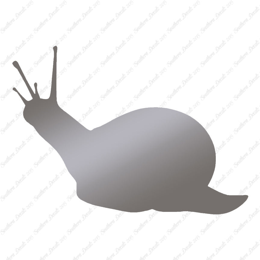 Slug Snail Insect Bug