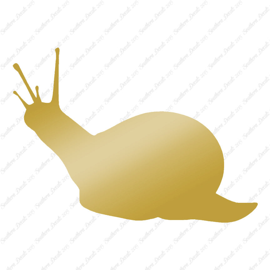 Slug Snail Insect Bug
